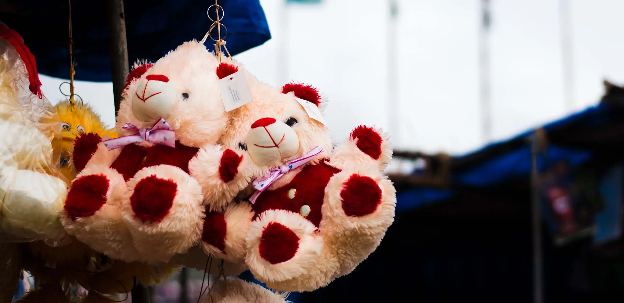 TEDDY_BEAR